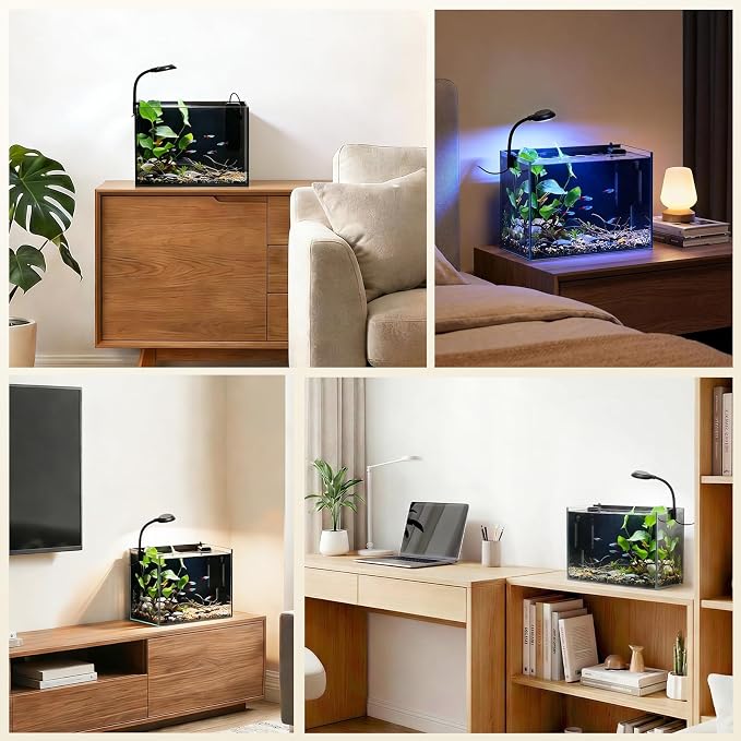 2.5 Gallon Small Fish Tank, Desktop Nano Aquarium with Filter | Ultra-Clear Glass Starter Kit with Lid, LED Light, Gravel and Rocks, Perfect for Betta, Shrimp and Live Plants
