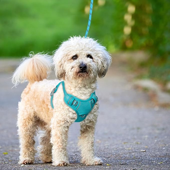 BARKBAY No Pull Dog Harness Large Reflective Dog Harness with Front Clip and Easy Control Handle for Walking Training Running with ID tag Pocket(Ocean Blue,XS)