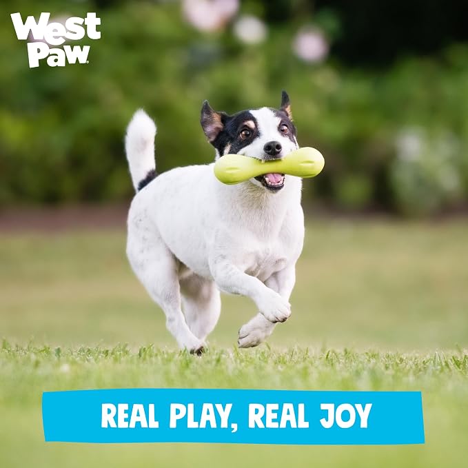 WEST PAW Zogoflex Hurley Dog Bone Chew Toy – Floatable Pet Toys for Aggressive Chewers, Catch, Fetch – Bright-Colored Bones for Dogs – Recyclable, Dishwasher-Safe, Non-Toxic, Large, Granny Smith