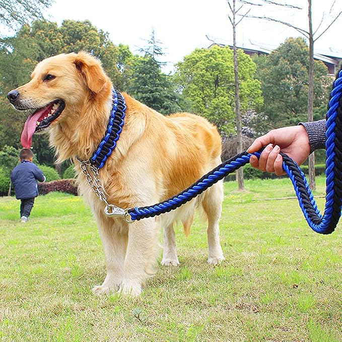 Love Dream Dog Collar and Leash Set, Heavy Duty Nylon Braided Rope Strong 4 FT Dog Leash and Martingale Training Collar for Small Medium Large Dogs Training and Walking (Green & Black)