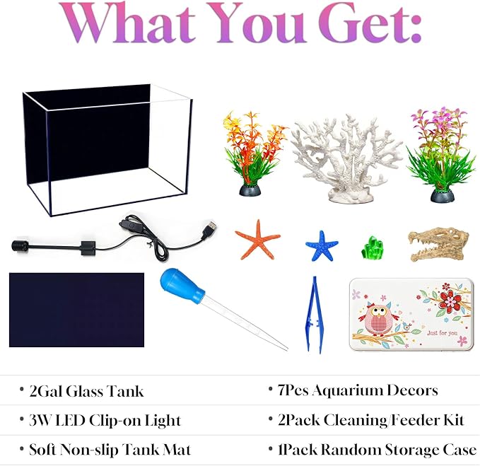 Ultra-Clear Glass Rimless Black Small Fish Tank Kit | 2Gal Nano Desktop Fish Tank with Light Cleaning Tool & Décors,Small Fish Aquarium for Betta,Shrimp,Small Fish