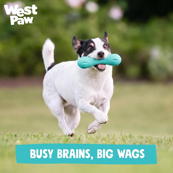 WEST PAW Zogoflex Hurley Dog Bone Chew Toy – Floatable Pet Toys for Aggressive Chewers, Catch, Fetch – Bright-Colored Bones for Dogs – Recyclable, Dishwasher-Safe, Non-Toxic, Large, Teal