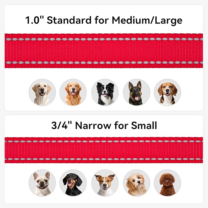 Joytale Dog Leash, 6 FT Double-Sided Reflective, Padded Handle Nylon Heavy Duty Leashes for Small Dogs Walking, Red