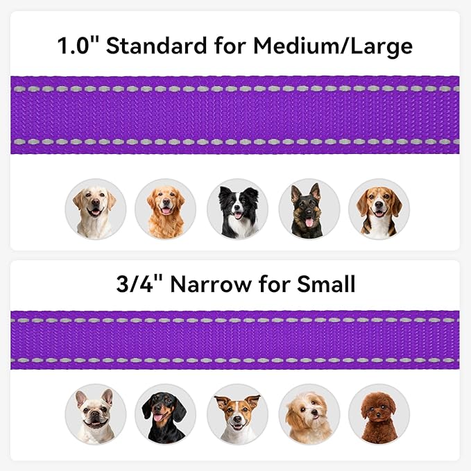 Joytale Dog Leash, 5 FT Double-Sided Reflective, Padded Handle Nylon Heavy Duty Leashes for Small Dogs Walking, Purple