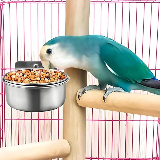 Parrot Feeding Cups Stainless Steel Bird Cage Feeder & Water Bowl - Chew-Proof Food Bowls with Clamp Holder for Parrot, Cockatiel, Conure, Budgie, Macaw, and Small Animals (M - 1Pc)