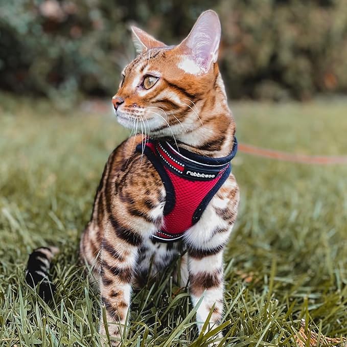 rabbitgoo Cat Harness and Leash Set for Walking Escape Proof, Adjustable Soft Kittens Vest with Reflective Strip for Cats, Comfortable Outdoor Vest, Red, S