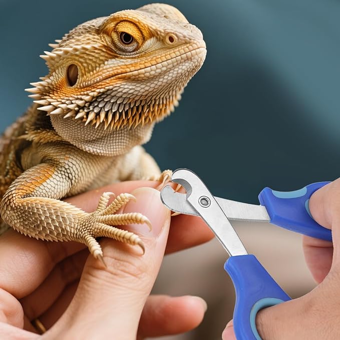 BOXOB Bearded Dragon Nail Clippers, Stainless Steel Pet Animal Lizard Cat Dog Toe Nail Scissors Trimmer Professional Reptile Grooming Tool with Precise Angled Edge for Small Reptiles Turtle Chameleon