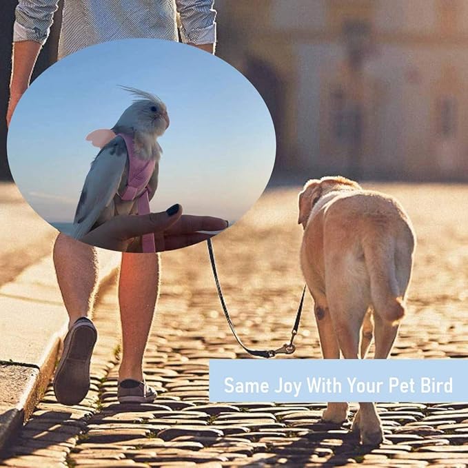 Bird Harness Leash Kit for Walking, Durable Outing Gadget Adjustable Flying Training Rope Strap, Traction Rope for Parrot, Cockatiel, Parakeet, Lory, Conure..