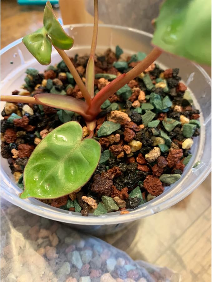 7lb Mix Lava Rocks for Plants in Door -Gravel Pebbles for Bonsai Succulent Cactus Potting Soil and Vase Fillers, Fairy Gardening,Top Dressing