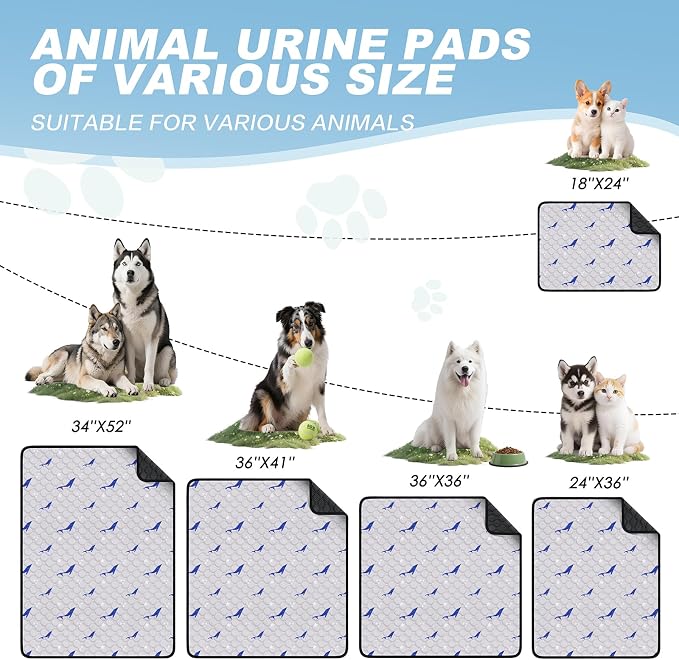 Washable Pee Pads for Dogs, 1 Pack Puppy Pads, Super Absorbent & Leakproof with Anti-Slip Bottom for Dog Training, Crates, Car, Pet Pee Pads, and Furniture Protection, 65"x48"