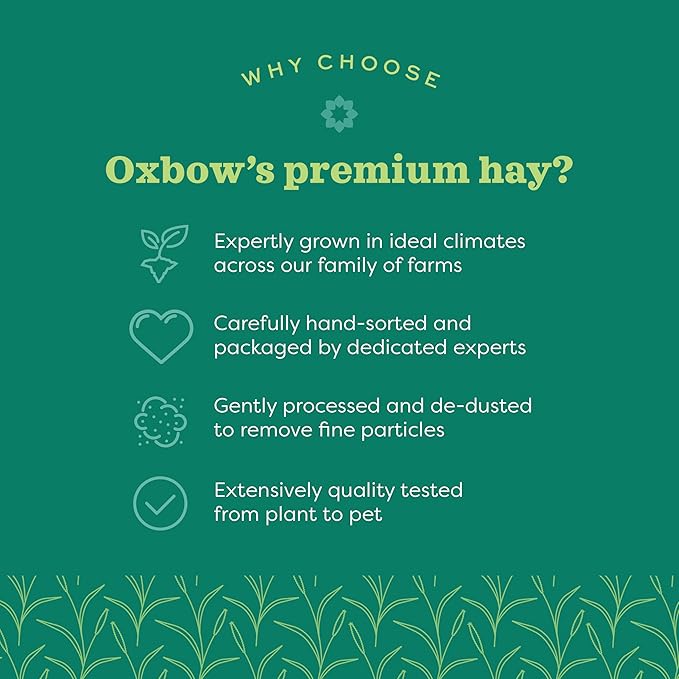 Oxbow Western Timothy Hay for Small Pets – All-Natural Grass Hay for Rabbits, Guinea Pigs, and Chinchillas – High Fiber for Digestive Health and Dental Support – 40 oz Bag