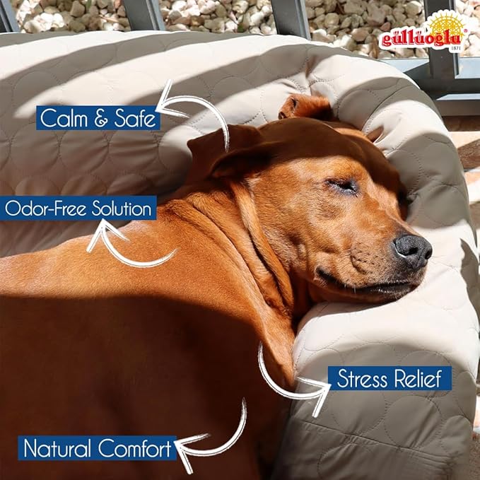 SINCE 1871 GÜLLÜOGLU Vetnatural Dog Calming Diffuser Plug-in with Natural Pheromone Formula – 60 Day Refill Kit for Dogs, Stress & Anxiety Relief, Indoor Behavior Support