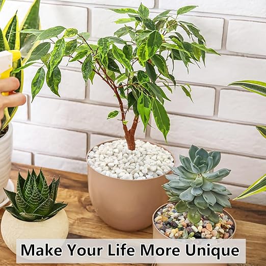 YISZM 10LB Succulent and Cactus Colorful Pebbles, 3/8 Inch Natural Decorative Polished Stones, River Rocks for Indoor Plants, Vases, Planters and Outdoor Gardening