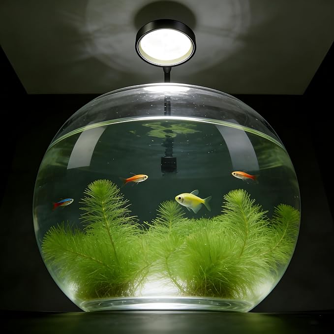 Carefree Fish Aquarium LED Light USB 7W Timer 4/8/12/18 Hours for 1~5Gal Frameless Fish Tank (Include Power Adapter)