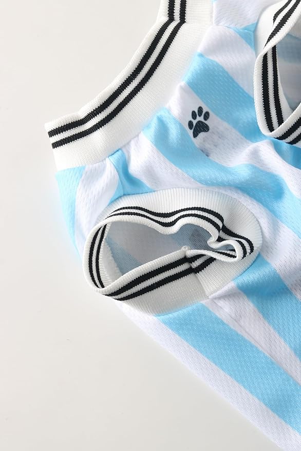 DroolingDog Pet Dog Jersey Costume, Summer Cooling Mesh Fabric, Soccer Sportswear Team Jersey, Lightweight Football Casual Clothes for Small Dogs, Argentina, X-Small
