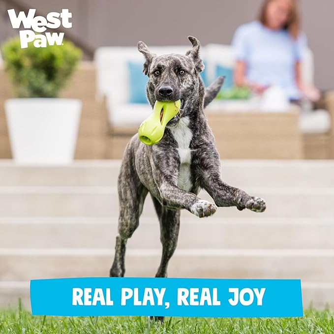 WEST PAW Qwizl Durable Zogoflex Dog Puzzle Toy for Mental Stimulation, and Enrichment - Treat Dispensing for Bully Sticks and Dental Sticks - Dishwasher Safe - Made in USA - Small - River
