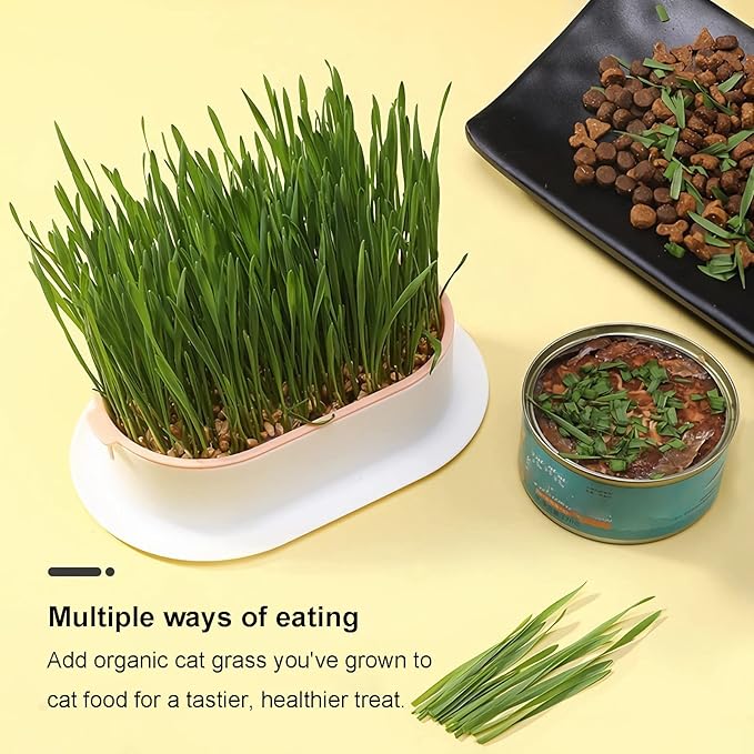 3Pcs Cat Grass Planter (No Seeds Included) Wheatgrass Planting Trays Hydroponic Cat Grass Growing Kits for Indoor Cats Soilless Organic Nursery Box Pet Grass Pot (H)