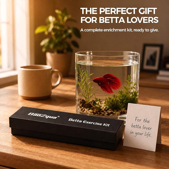 Betta Exercise Kit, Betta Fish Toys, 2 Training Wands and Mirror | Shatterproof acrylic mirror, interactive flaring and enrichment toys, fits any tank or bowl, gift set for betta lovers