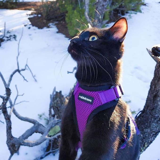 rabbitgoo Cat Harness and Leash for Walking, Escape Proof Soft Adjustable Vest Harnesses for Cats, Easy Control Breathable Reflective Strips Jacket, Purple, S