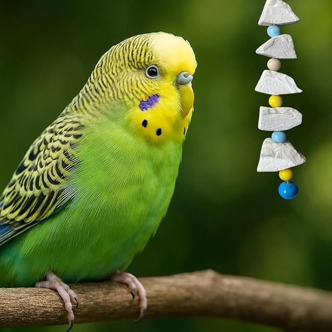 Cuttlebone for Birds, Parakeet with 3 Strings 7 Lava Stones, Essential Beak Maintenance Tools for Birds, Cockatiel Cage Accessories for Daily Enrichment Activities, Volcanic Stone Construction