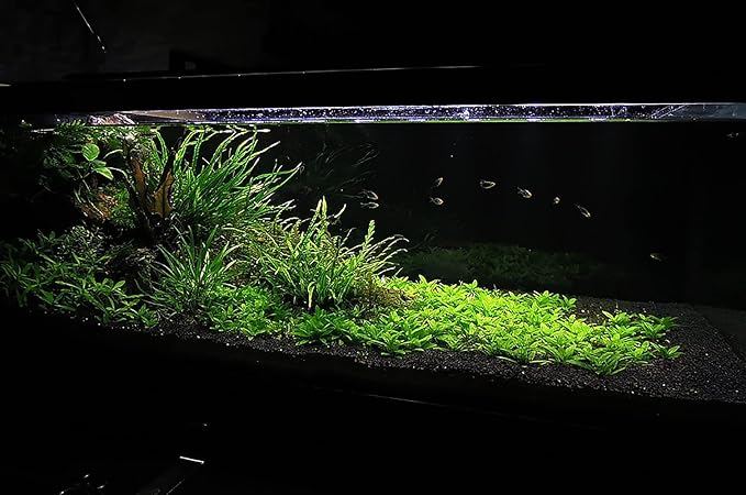 Ultum Nature Systems Controsoil - Freshwater Aqua Soil Substrate for Fish, Shrimp, Live Plant Propagation and Aquascaping - 6.8pH Low Ammonia, Volcanic Ash - Black, Normal (3 Liter)