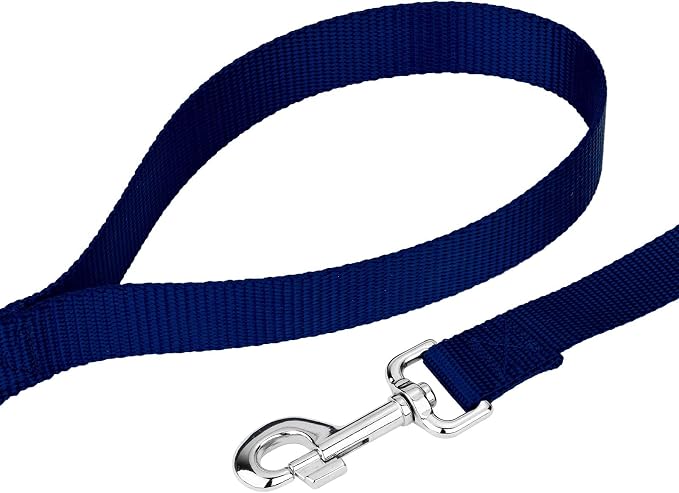 Country Brook Petz - Everyday Nylon Dog Collar and Leash - 10+ Cool Colors (3/4 Inch, Small, Royal Blue)