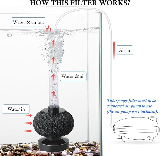 HITOP 2 Pack Aquarium Bio Sponge Filter: Diameter 2.5in Mini Air-Powered Fish Tank Filter, Quiet Small Sponge Filter for up to 15gallon Fish Tank, Betta Tank, Shrimp Tank, Fry Tank, Breeding