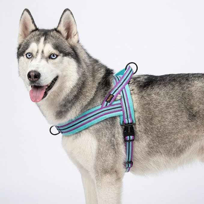 Didog Soft Flannel Padded Dog Vest Harness, No Pull/Quick Fit Reflective Dog Strap Harness, Easy for Training Walking (M:Chest 22-26", Mixed-Blue)