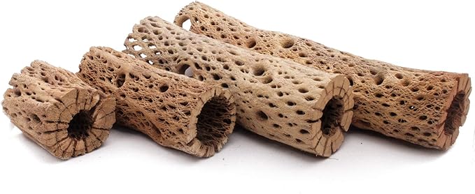 3, 6, 9, 12 Inch All Natural Teddy Bear Cholla Wood Extra Hollow Untreated Organic Aquarium Driftwood Decoration Chew Toy Shrimp Crab Cichlid Nano Tank Birds 1 or 5 Pieces (1 Piece, 9 inch)