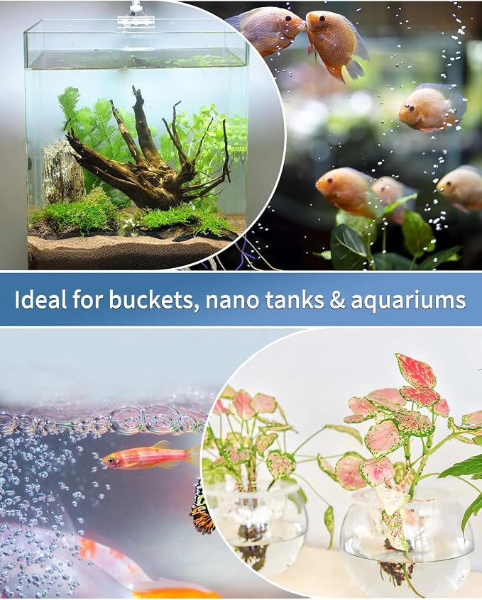 Pawfly Aquarium Air Stone Disc Tiny Micro Bubble Diffuser Release Tool Kit with Suction Cup Air Control Valve and Check Valve Accessories for Nano Air Pumps Small Buckets and Fish Tanks