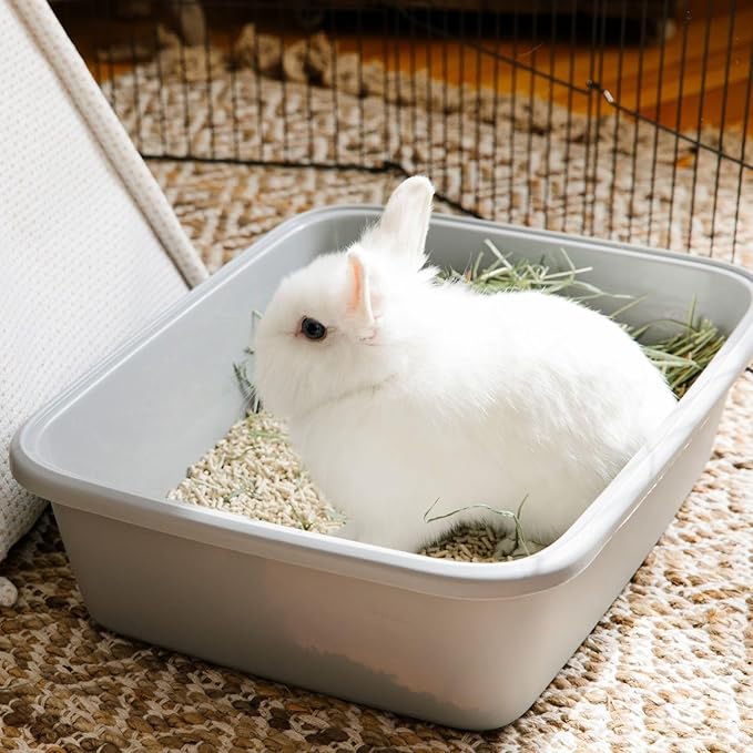 carefresh Rabbit & Ferret Dust-Free, Lightweight Litter, 10 lb