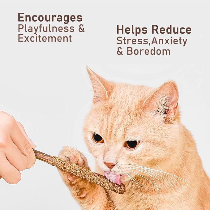 Natural Silvervine Sticks for Cats,Catnip Cat & Kitten Chew Toys Teeth Cleaning, Matatabi Cat Treat, Edible Kitty Toys (20PC)