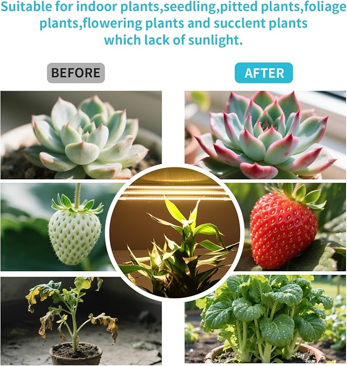Hywyimlait LED Grow Light Strips, Grow Lamps for Indoor Plants Full Spectrum 3000K, 72 LEDs Plant Light with 3/9/12H Timer, 10 Dimmable Levels for Seedling Succulent, 3 Head 7.8 Inches