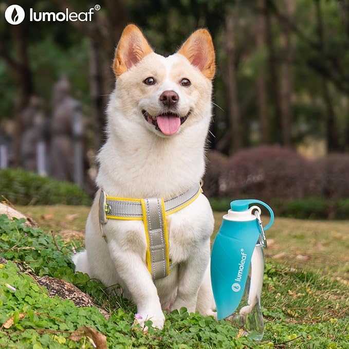 LumoLeaf Dog Water Bottle for Walking, Portable Pet Water Dispenser with Foldable Leaf Bowl ā Lightweight Travel Bottle for Small & Medium Dogs, 20 fl oz