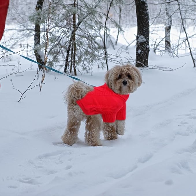 Queenmore Small Dog Pullover Sweater, Cold Weather Cable Knitwear, Classic Turtleneck Thick Warm Clothes for Chihuahua, Bulldog, Dachshund, Pug (Red, Small)