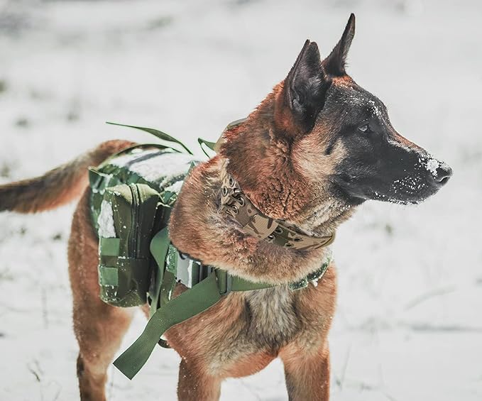 Tactical Dog Collar with Handle - Military Adjustable Dog Training Collar Soft Nylon and Heavy Duty Metal Buckle for Medium Large Dogs - with Patch (Camo with Patch, Medium)