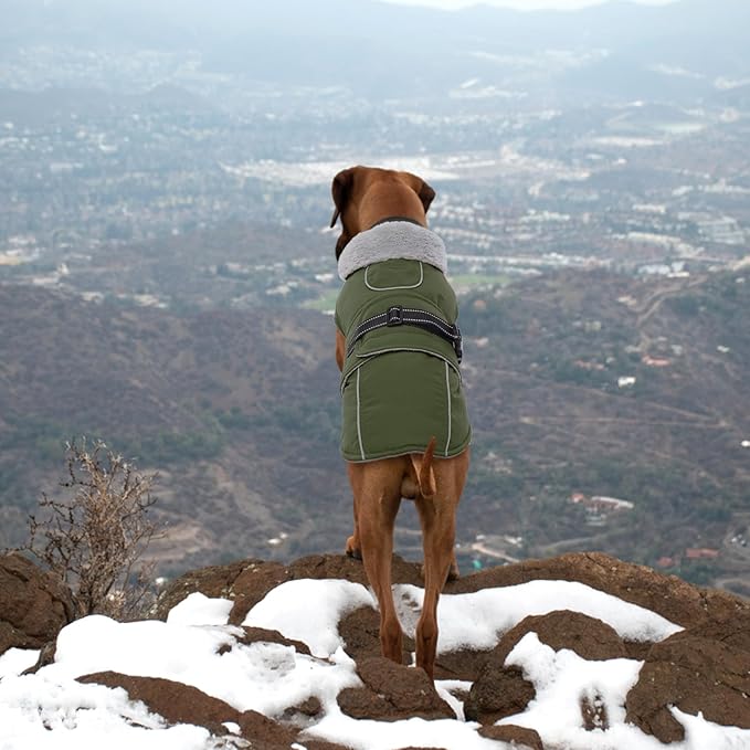 Lelepet Warm Dog Coat Reflective Fleece Vest Waterproof Dog Jacket with Adjustable Buckle Hook & Loop Windproof Cold Weather Coats for Small Medium Large Dogs, Army Green, XL
