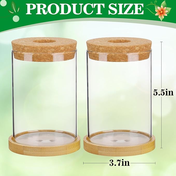 Plants Propagation Station, Gardening Gifts for Women Mom Plant Lovers | Biggun 2Pcs Desktop Plant Terrarium Glass Hydroponic Vases, Water Plant Jars (Thick Straight Shape, Separated Tray Style)