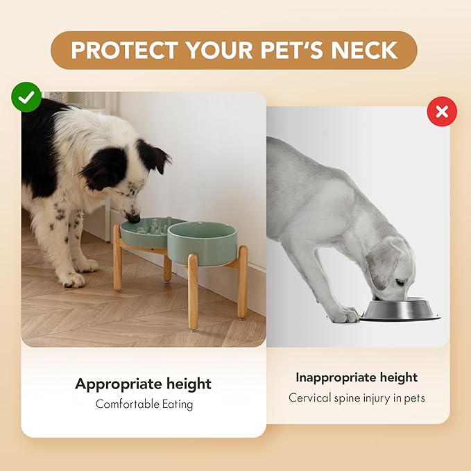 Havniva Ceramic Raised Slow Feeder Dog Bowl Set, Elevated 7.3inch Bowl and 8.2inch Slow Pet Food Dish with Wooden Stand for Medium and Large Dog (2 x Light Green+ Stand)