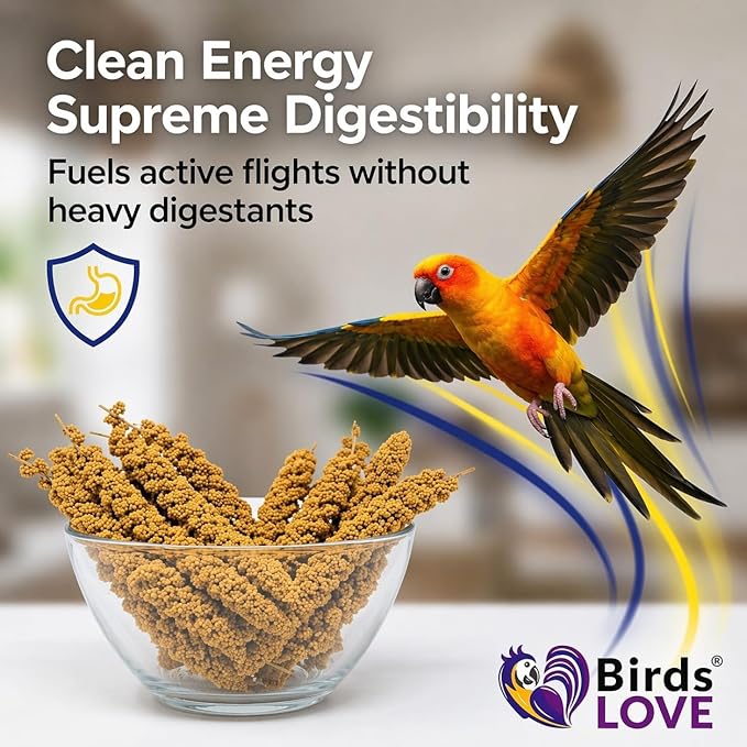 Birds LOVE Millet Tips & Tails for Birds - Parakeets, Cockatiels, Lovebirds, Finches, Budgies, Canaries, Cockatoos - Natural & Healthy Millet for Birds - Parakeet Food & Treats for All Parrots, 1lb