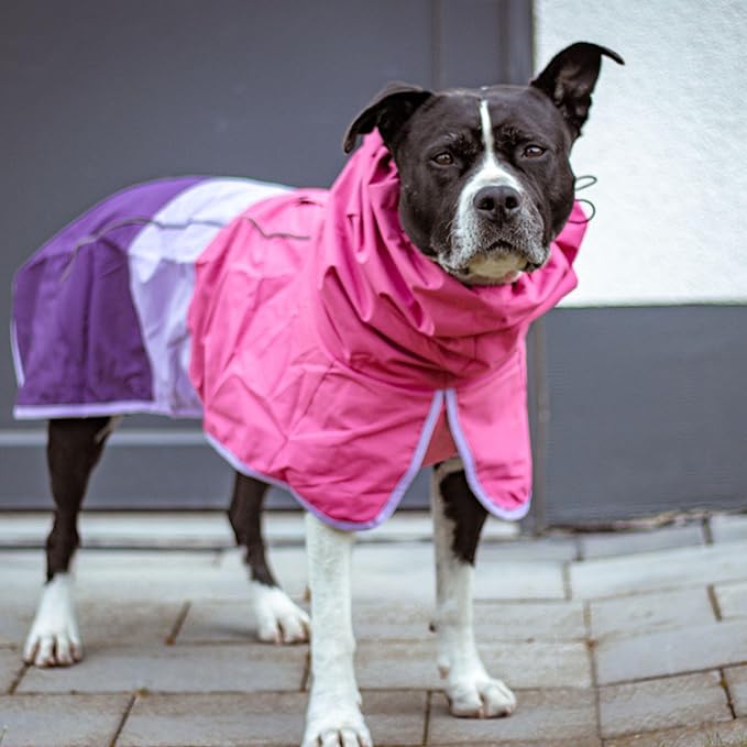 Spark Paws Dog Raincoat, Waterproof Windproof Rain Jacket, for Small Medium Large Extra Large Dogs, Reflective Breathable Full-Body Coverage Dry Suit - Pink Lilac Purple - L
