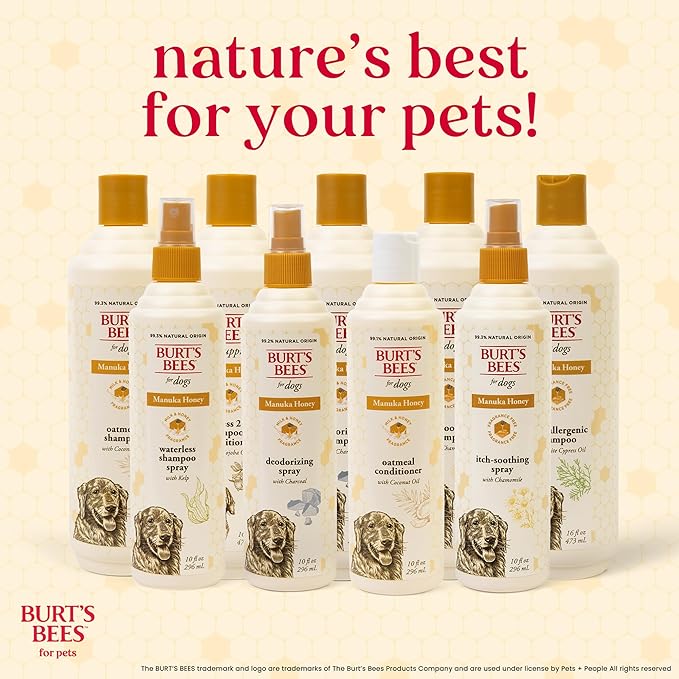 BURT'S BEES FOR PETS Paw Balm for Dogs with Manuka Honey and Coconut Oil, Soothes Dry Dog Paws, Naturally Derived Ingredients, 1.76 Oz