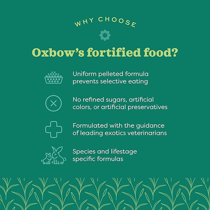 Oxbow Essentials Senior Guinea Pig Food, Made with Oxbow Alfalfa for Guinea Pig, Pet Food Pellets with Vitamin C, Small Animal Pet Products, Made in USA, High Fiber, 4 lb. Bag