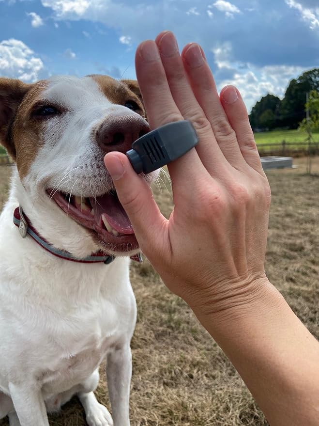 Karen Pryor Small Clicino Clicker Ring for Dogs & Puppies – Hands-Free Dog Training with Ergonomic Finger Ring & Pull-On Closure – Loud, Clear Sound for Effective Behavior Reinforcement (Red)