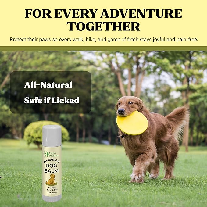 Earth’s Daughter Dog Paw Balm Big 0.56 oz – Organic Paw & Nose Protector with Beeswax, Coconut & Calendula – Itch Relief & Natural Skin Care for Dogs & Puppies – Travel Essential