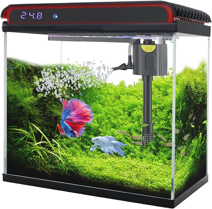 20 Gallon Glass Fish Tank, Betta Smart Aquarium Kit, Large Aquarium Starter Kits Self Cleaning with 3 Types of LED Lights and Filter Water Pump, Water Temperature Detection Ultra Quiet Gift for Kid