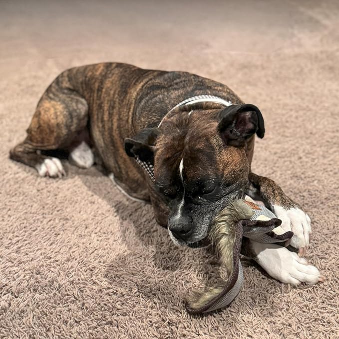 SPOT Dura-Fused Hemp Friends - Dog Toy Made with Hemp Material, Fused with Tricot for Durablity, with Furry Plush Tail and Squeaker, Great for Light to Moderate Chewers - 18" Assorted Styles, 1 Piece