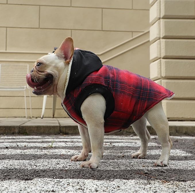Vecomfy Fleece Lining Dog Hoodie for Small Dogs Extra Warm Plaid Sweater with Drawstring Hooded Coats in Winter Puppy Jacket,Red S
