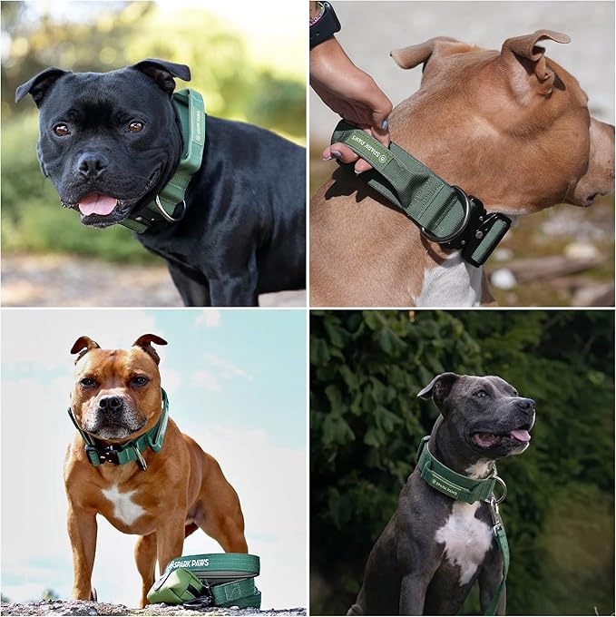 Spark Paws Tactical Dog Collar - Heavy Duty, Premium Quality, Thick and Durable for Large and Medium Dogs - Solid Green - M - 1.5"