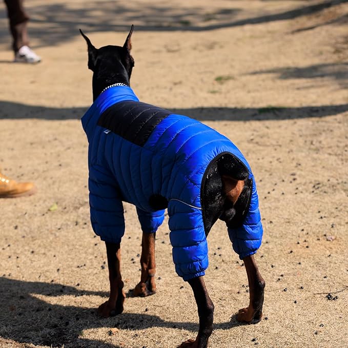 Lovelonglong Dog Coat - Warm Jacket, 4 Legs Covered Waterproof Windproof Reflective Dog Vest, Zippered Adjustable Outdoor Snow Jacket for Small to Large Dogs, Blue XL